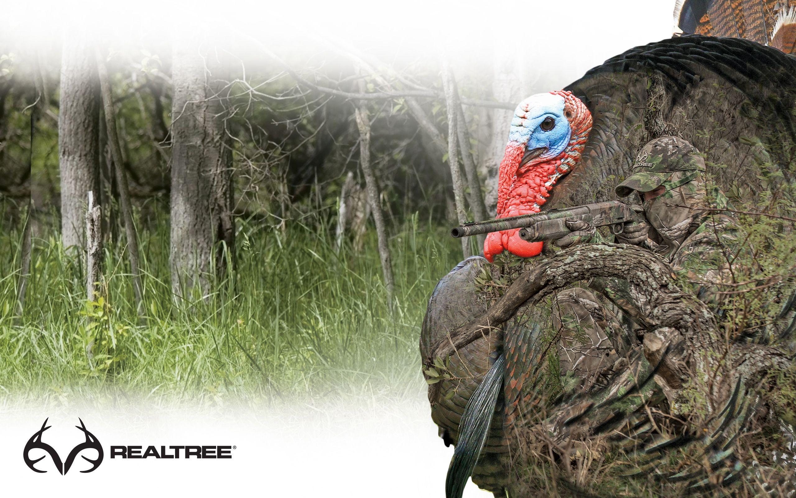 Spring Turkey Hunting Wallpapers Top Free Spring Turkey Hunting