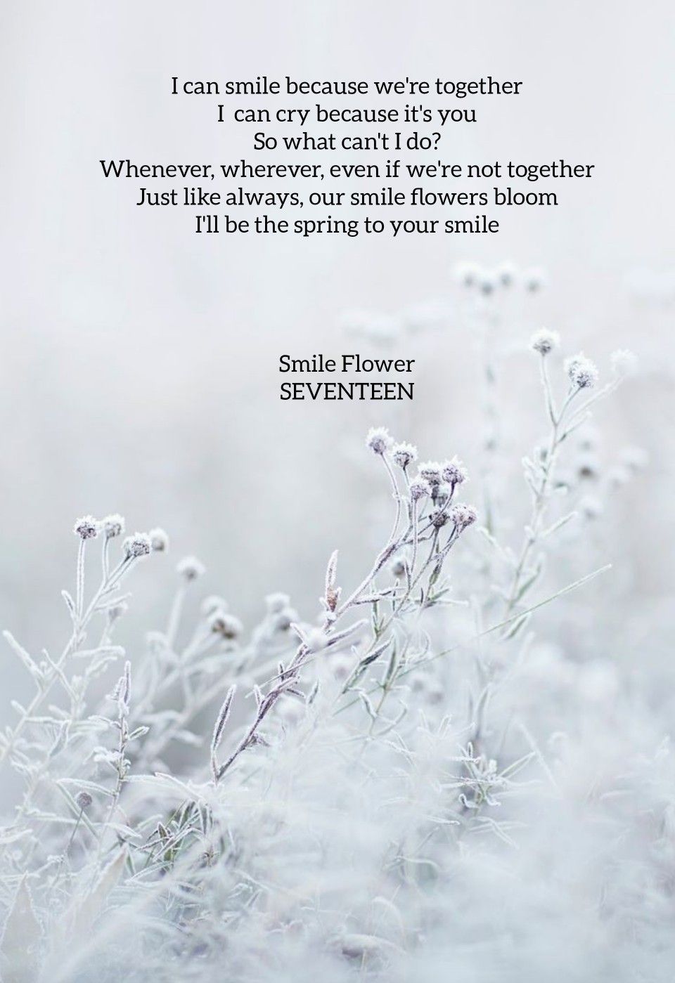 Seventeen Lyrics Wallpapers Top Free Seventeen Lyrics Backgrounds