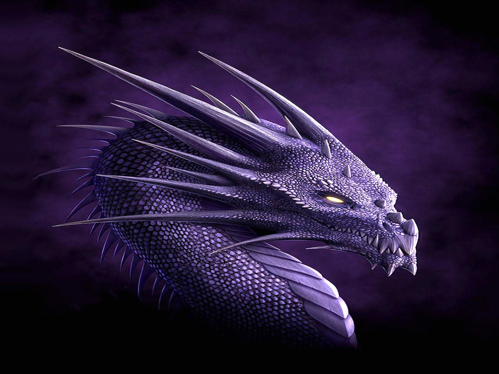 Purple Dragon Wallpapers Top Free Purple Dragon Backgrounds