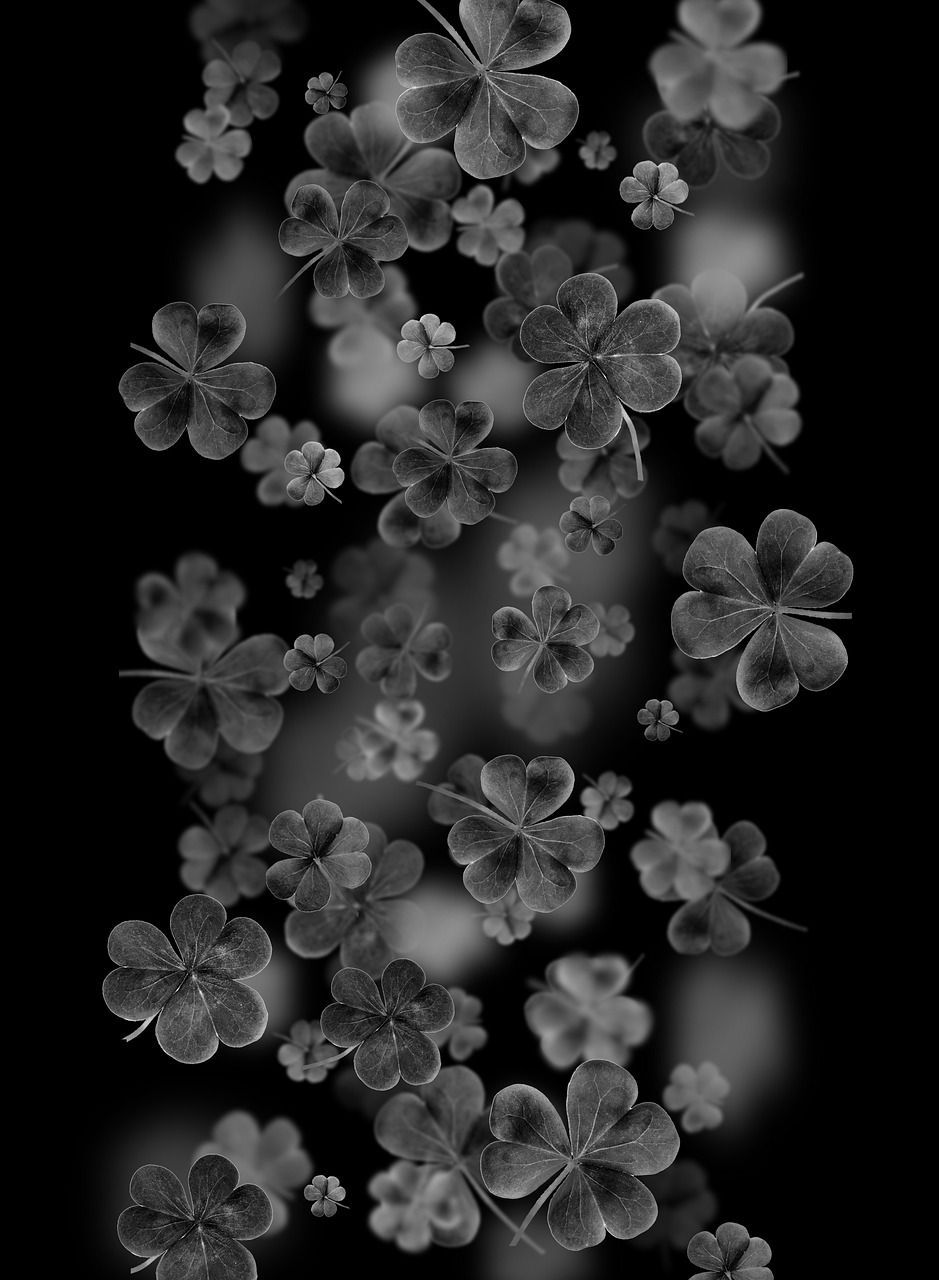 5 Leaf Clover Wallpapers Top Free 5 Leaf Clover Backgrounds