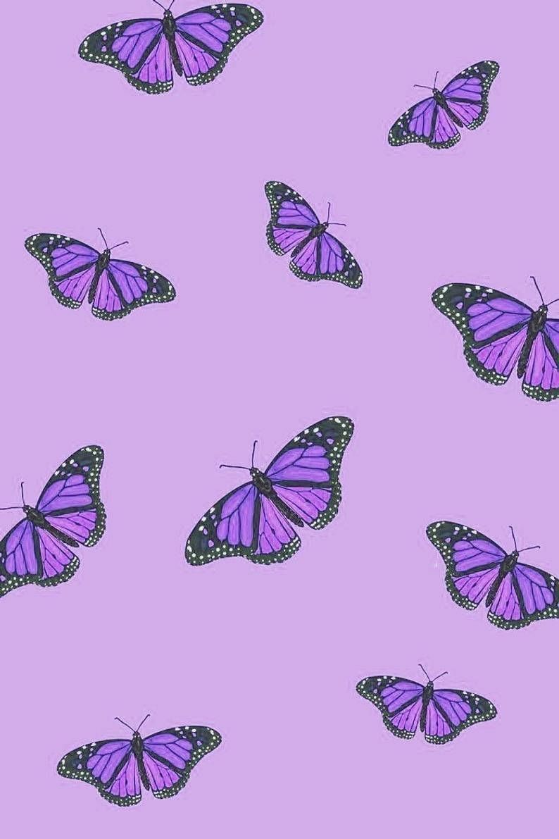 Preppy Purple Wallpapers Top Free Preppy Purple Backgrounds