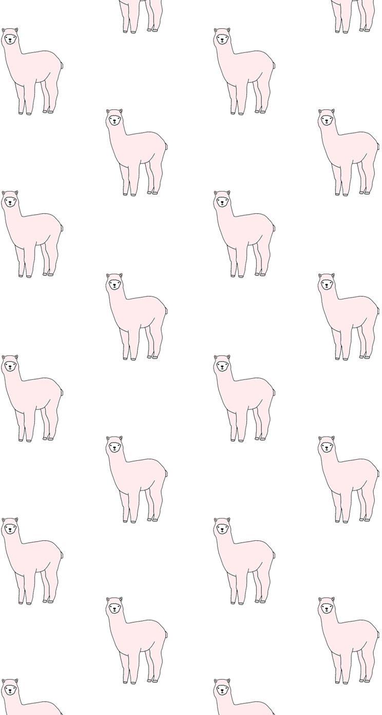 Cute Llama Wallpapers Top Free Cute Llama Backgrounds WallpaperAccess