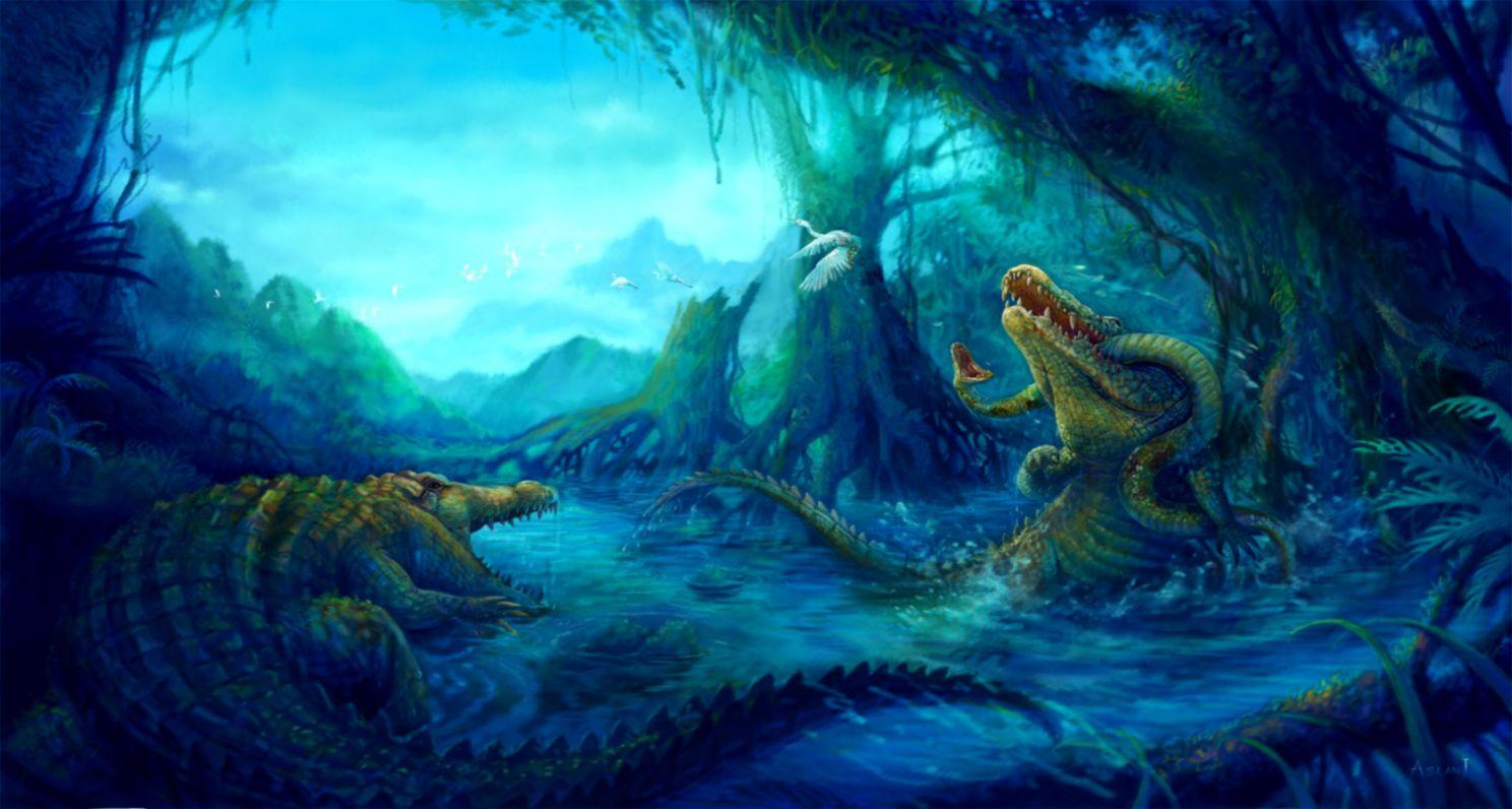Alligator Wallpapers Top Free Alligator Backgrounds WallpaperAccess