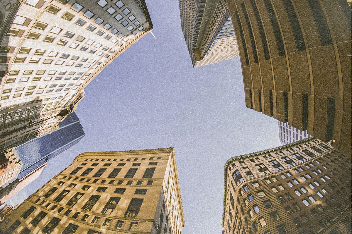 Fish Eye Wallpapers Top Free Fish Eye Backgrounds WallpaperAccess