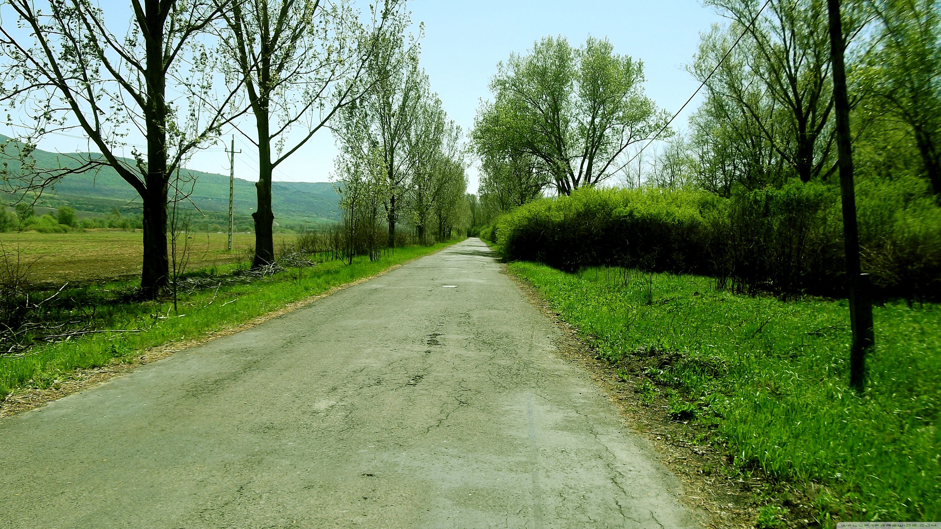 Sunny Road Wallpapers Top Free Sunny Road Backgrounds WallpaperAccess