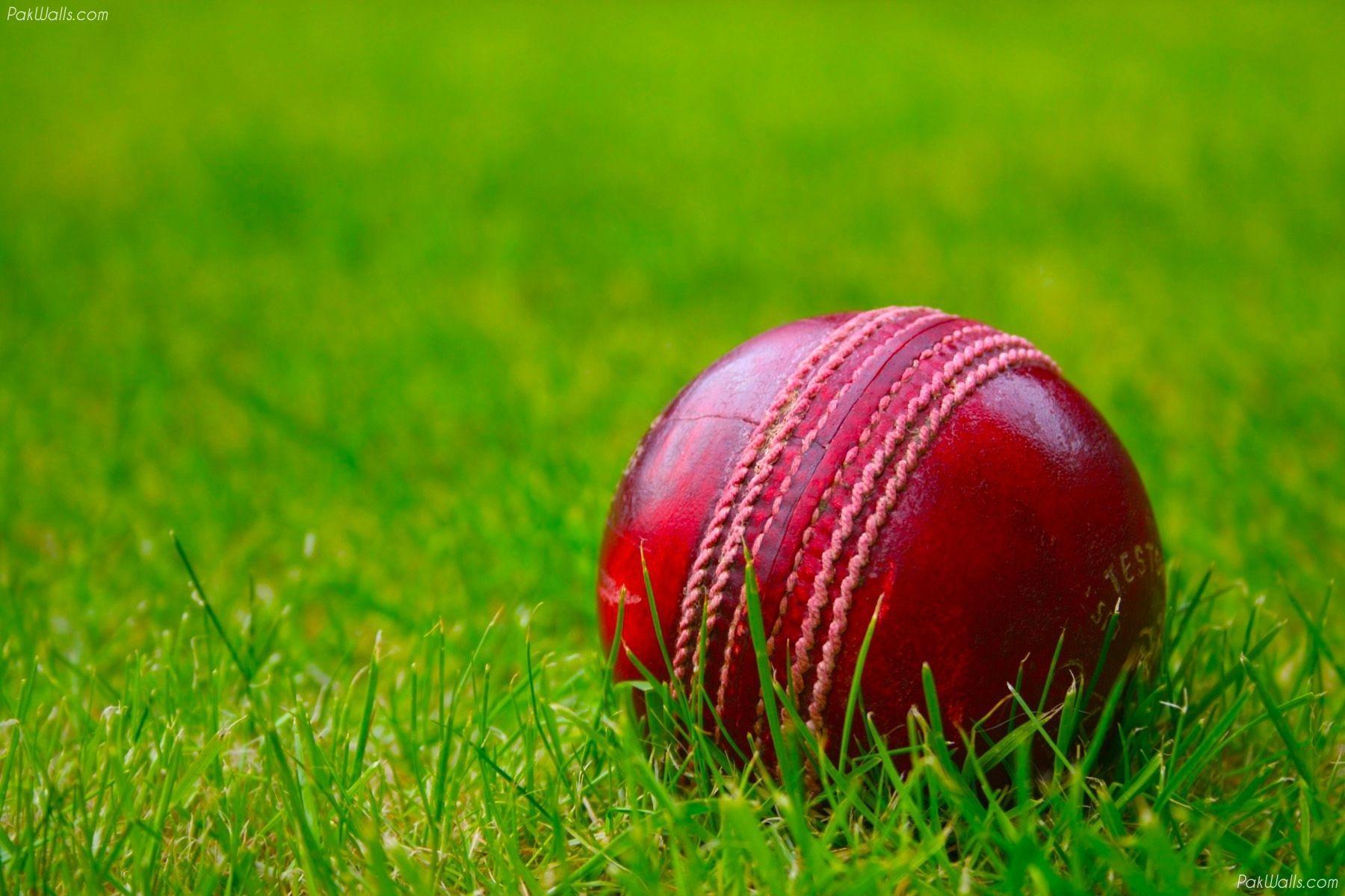 Cricket Wallpapers Top Free Cricket Backgrounds WallpaperAccess