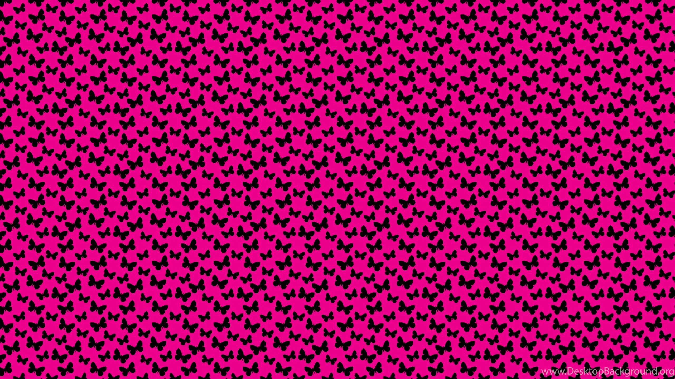 Hot Pink Wallpapers Top Free Hot Pink Backgrounds WallpaperAccess