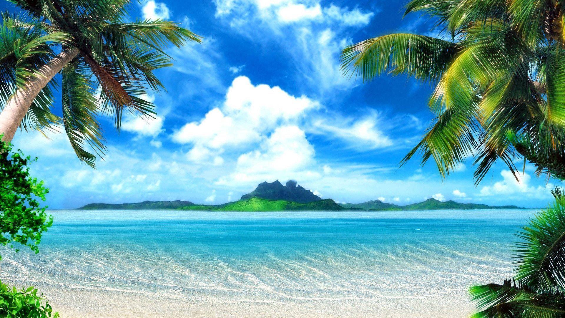 1920 X 1080 Tropical Wallpapers Top Free 1920 X 1080 Tropical Backgrounds WallpaperAccess