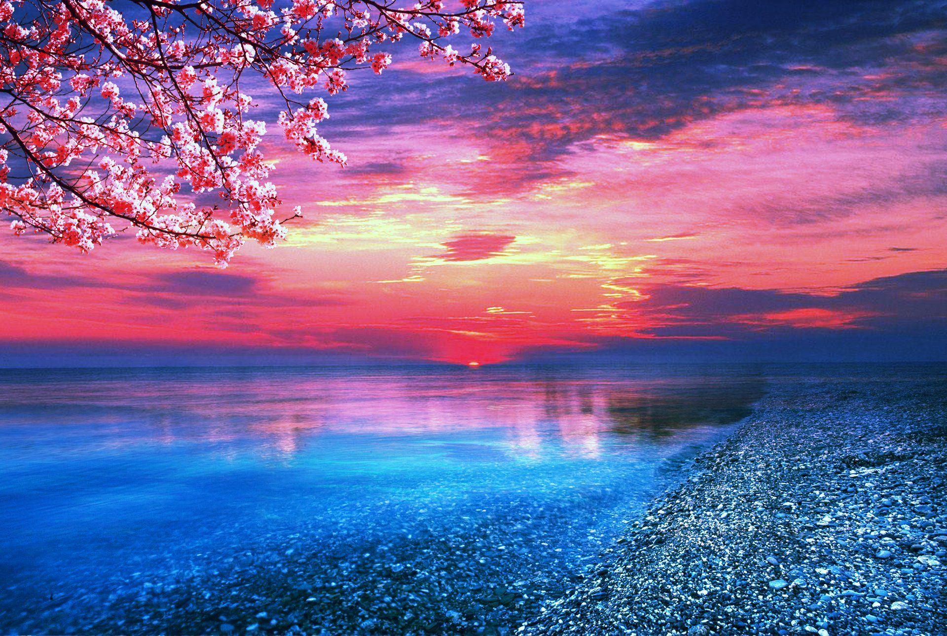 Pink Ocean Desktop Wallpapers Top Free Pink Ocean Desktop Backgrounds