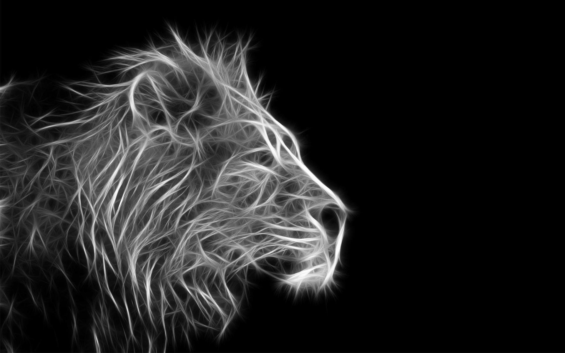 Black and White Lion Wallpapers Top Free Black and White Lion Backgrounds WallpaperAccess