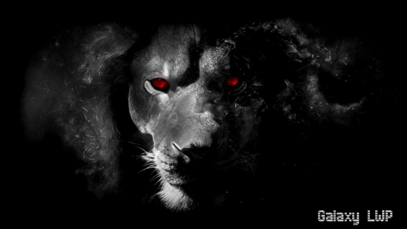 Black Lion Wallpapers Top Free Black Lion Backgrounds WallpaperAccess