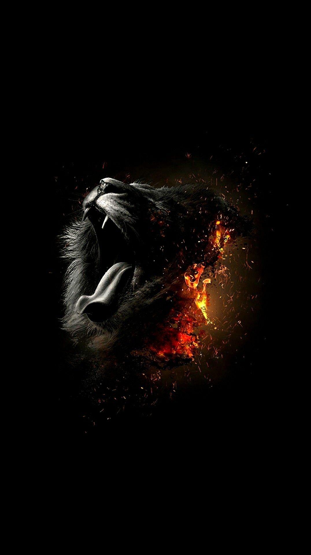 Black Lion Wallpapers Top Free Black Lion Backgrounds WallpaperAccess