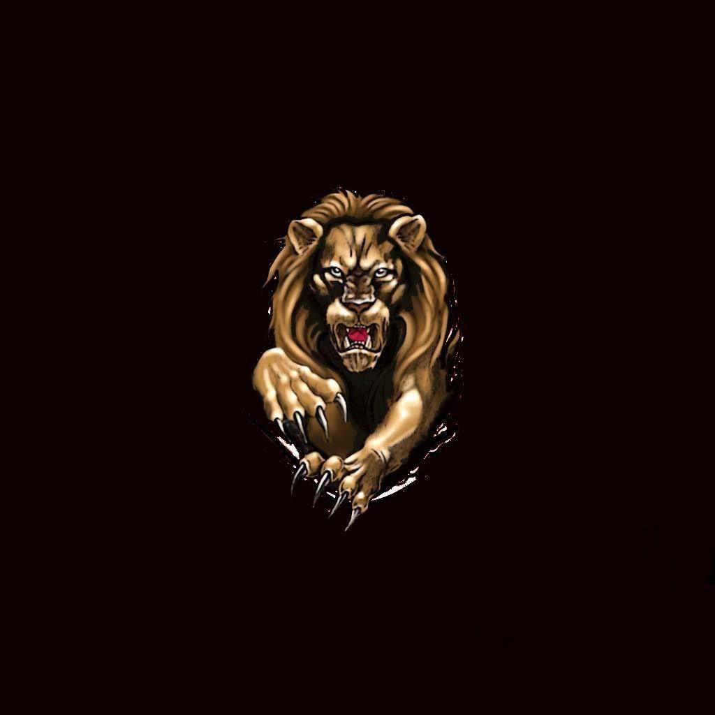 Black Lion Wallpapers Top Free Black Lion Backgrounds WallpaperAccess