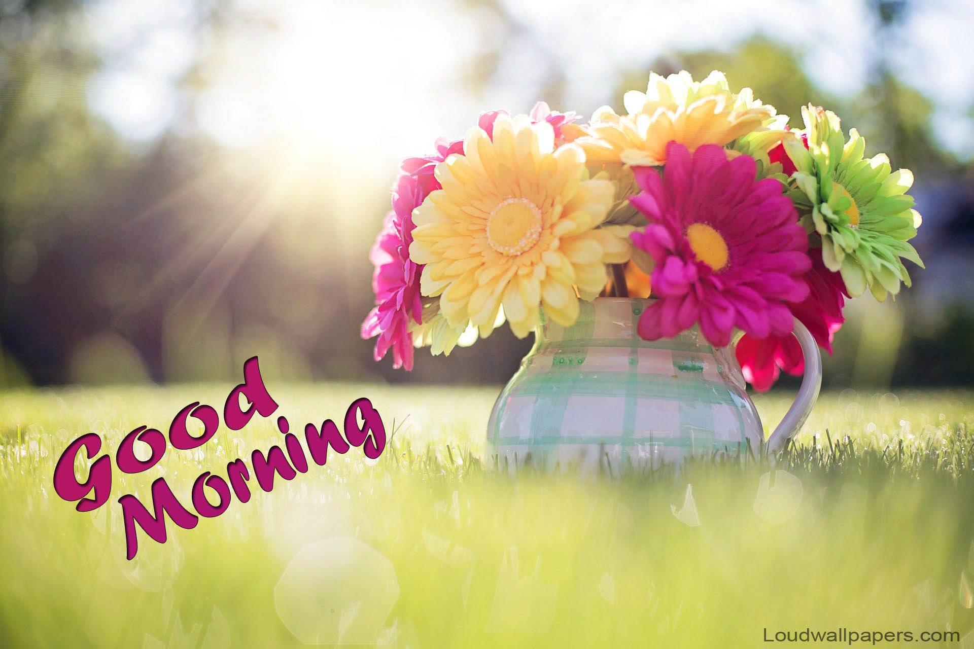 Good Morning Wallpapers Top Free Good Morning Backgrounds