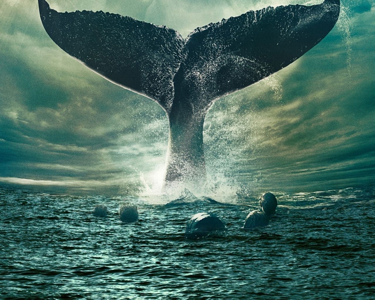 Whale Tail Wallpapers Top Free Whale Tail Backgrounds Wallpaperaccess