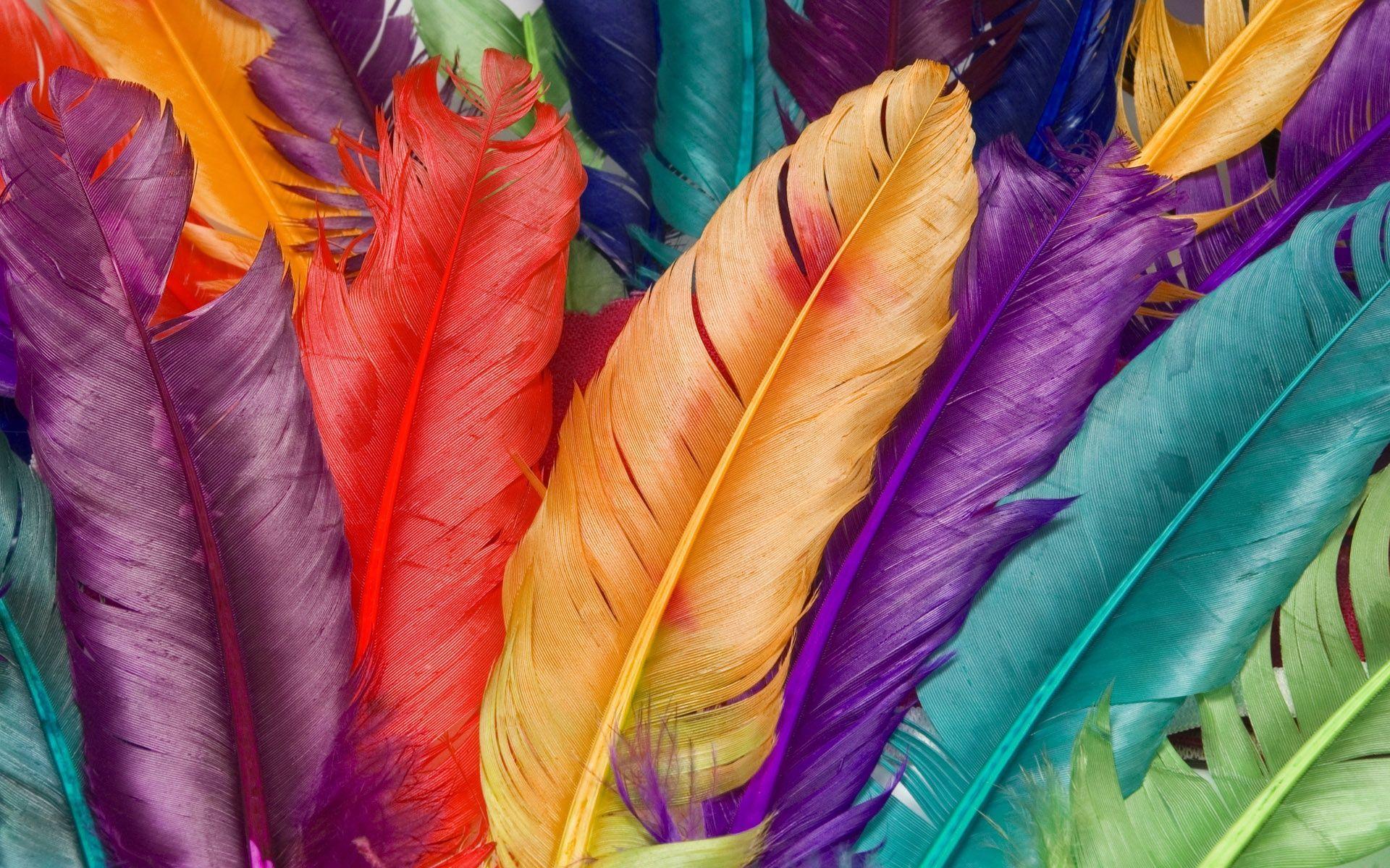Feathers Wallpapers Top Free Feathers Backgrounds WallpaperAccess