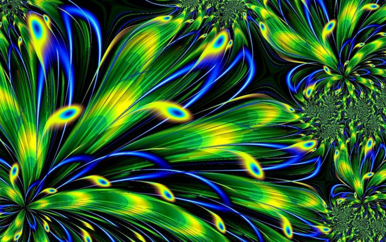 Feathers Wallpapers Top Free Feathers Backgrounds WallpaperAccess