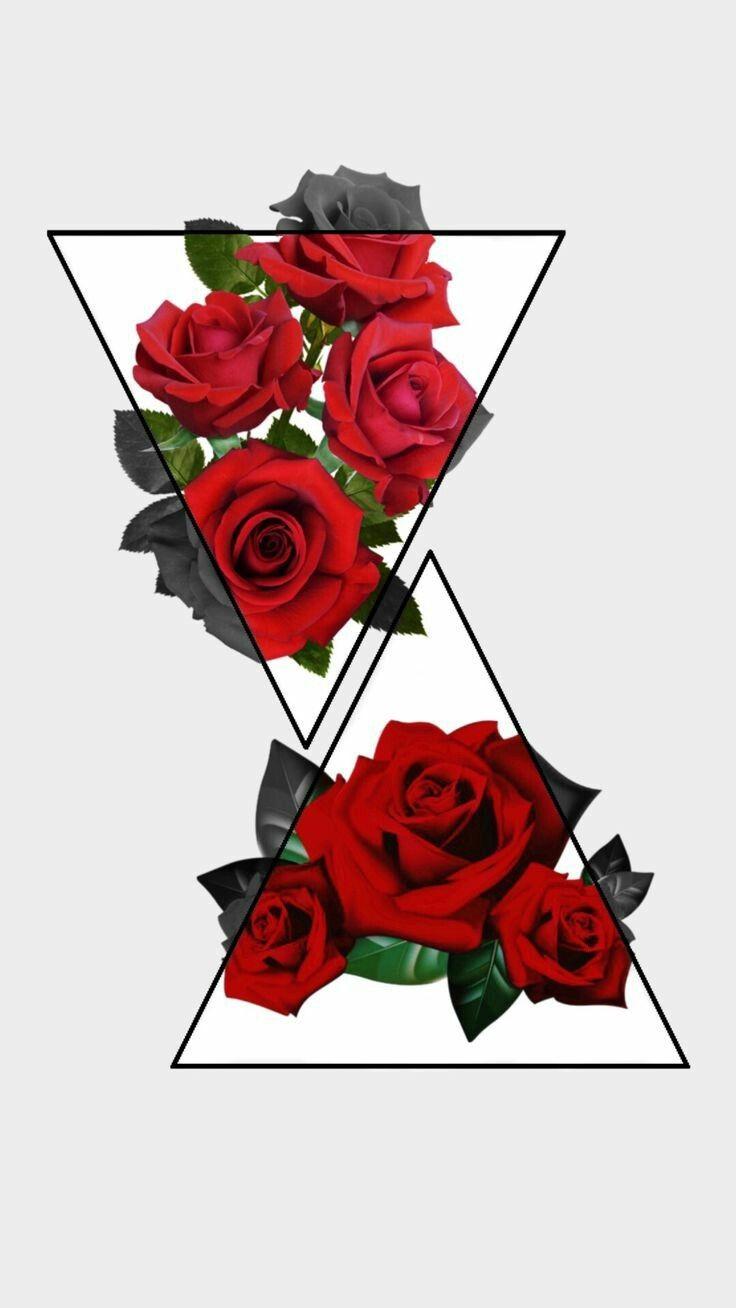 Red Rose Aesthetic Wallpapers Top Free Red Rose Aesthetic Backgrounds