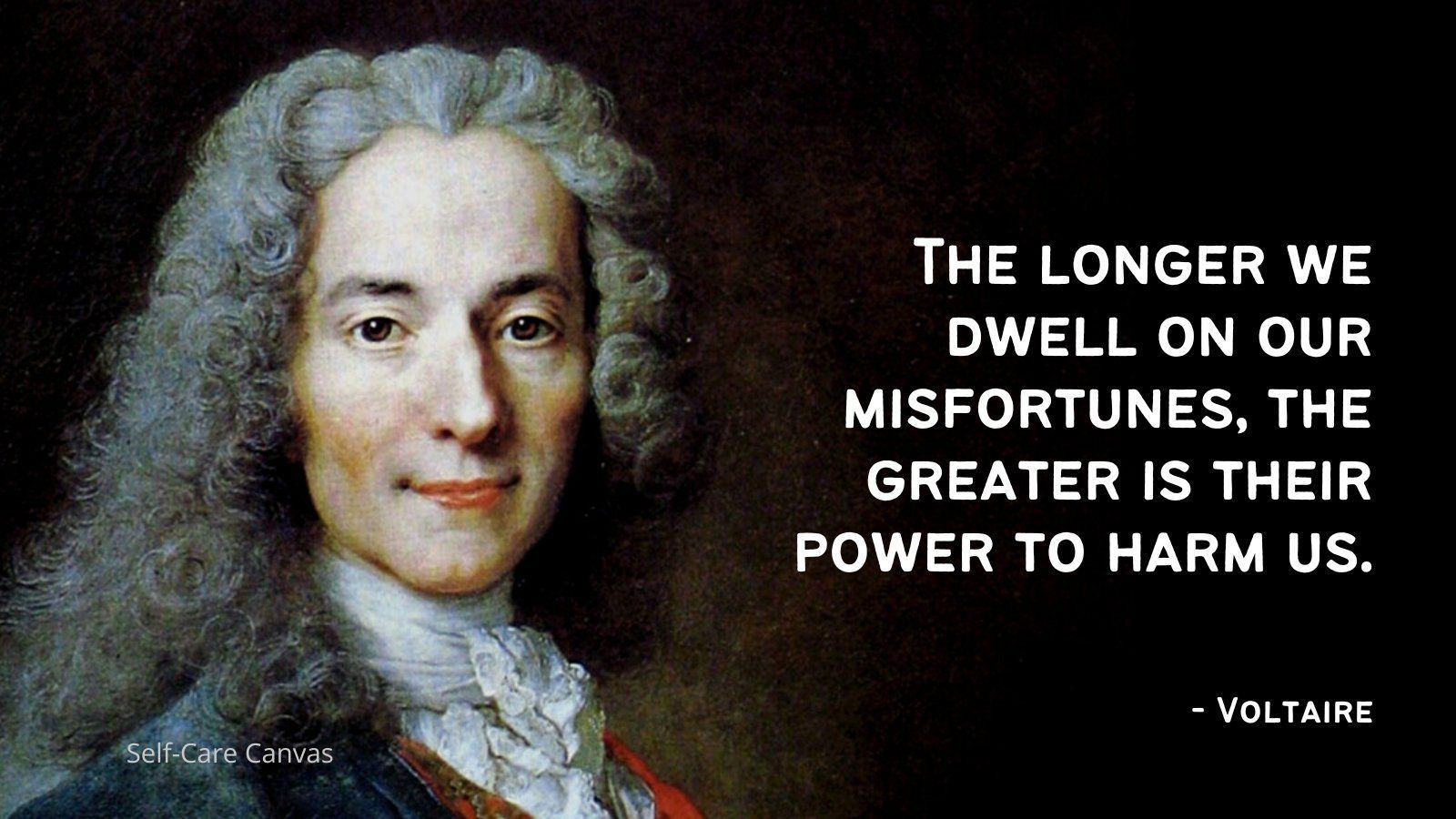 Voltaire Wallpapers Top Free Voltaire Backgrounds WallpaperAccess