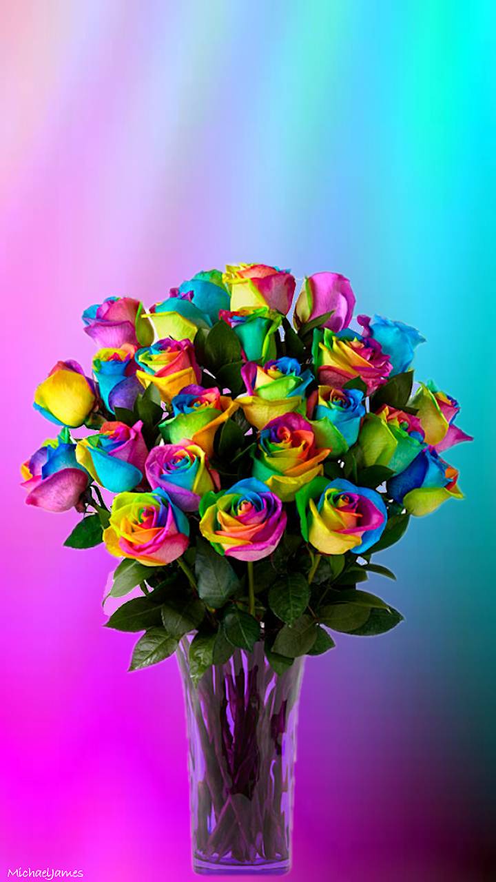 Rainbow Flower iPhone Wallpapers Top Free Rainbow Flower iPhone