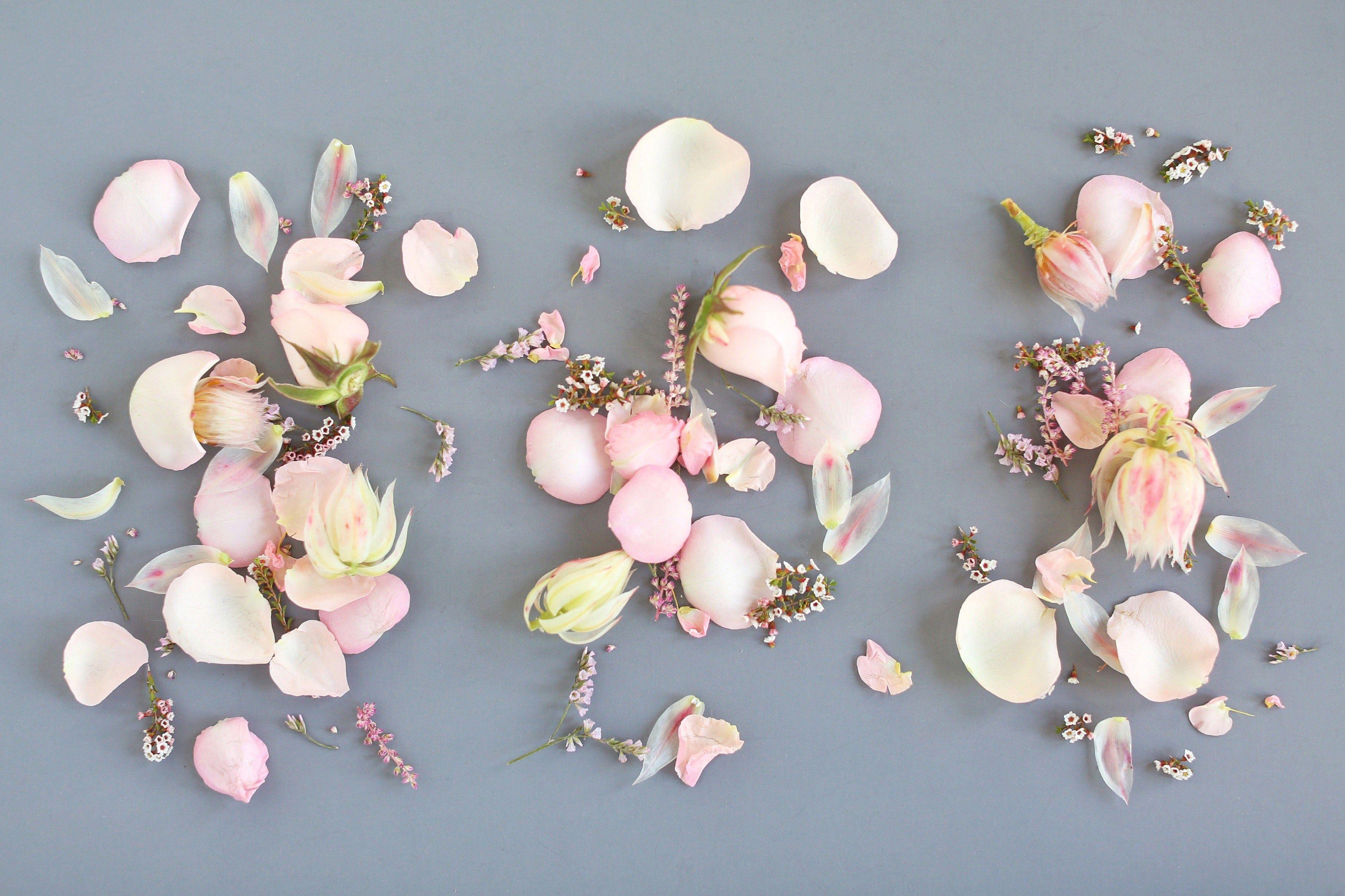 Millenial Pink 4K Wallpapers Top Free Millenial Pink 4K Backgrounds