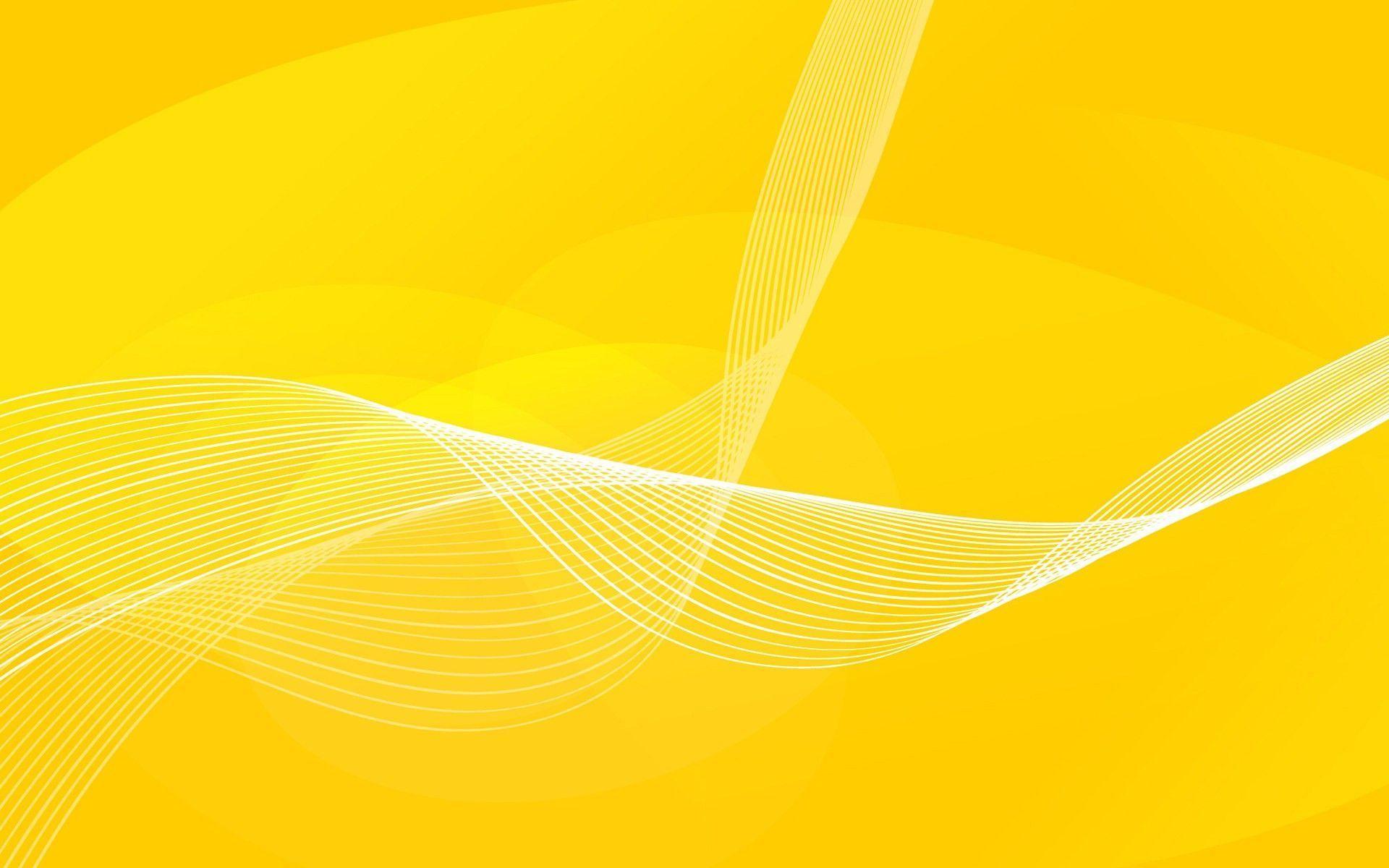 Yellow and White Wallpapers Top Free Yellow and White Backgrounds
