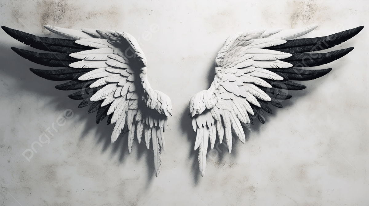 Black and White Wings Wallpapers Top Free Black and White Wings