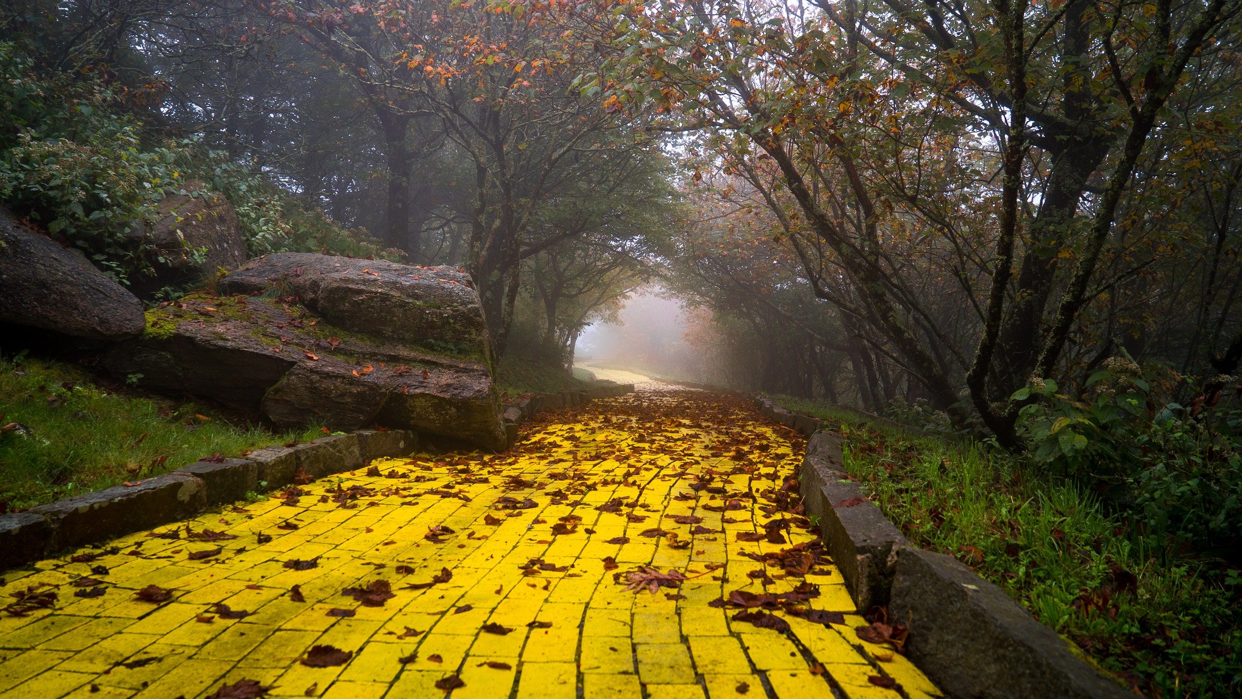 Yellow Brick Road Wallpapers Top Free Yellow Brick Road Backgrounds