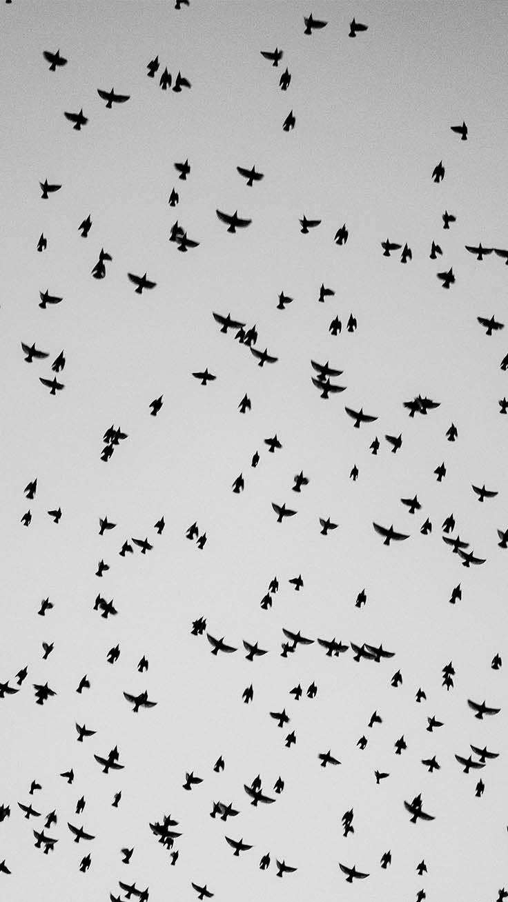 Black iPhone XR Wallpapers Top Free Black iPhone XR Backgrounds