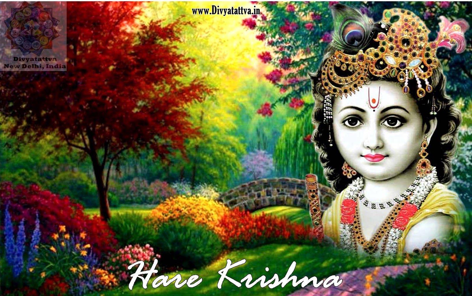 Krishna Wallpapers Top Free Krishna Backgrounds WallpaperAccess
