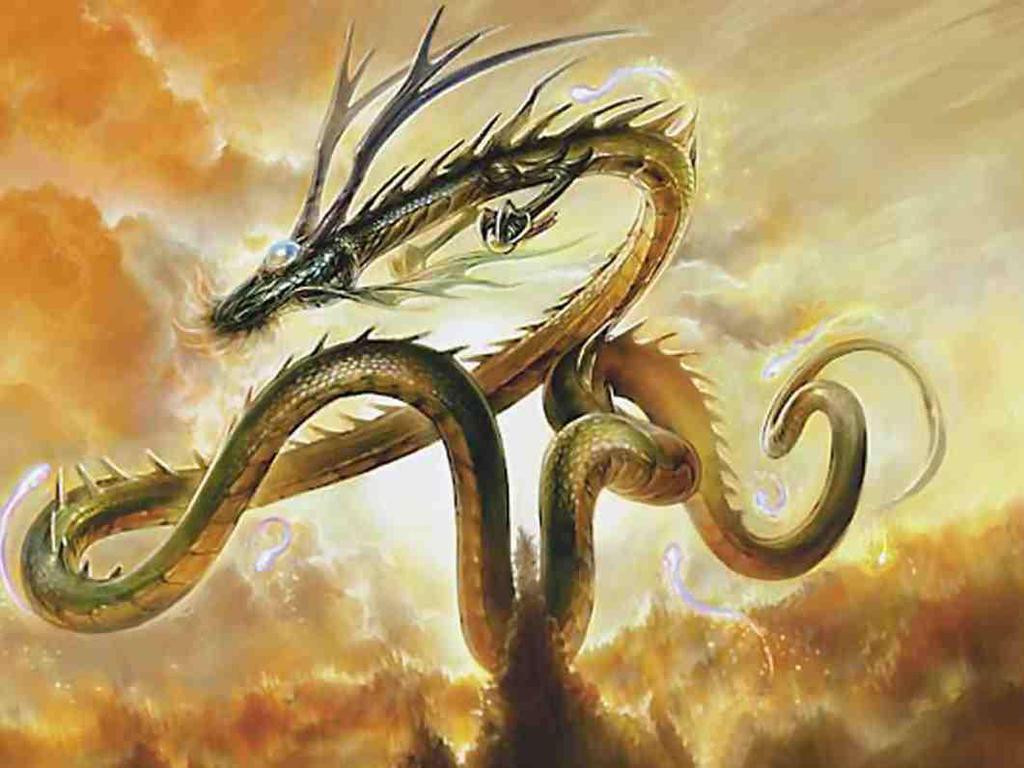 God Dragon Wallpapers Top Free God Dragon Backgrounds WallpaperAccess