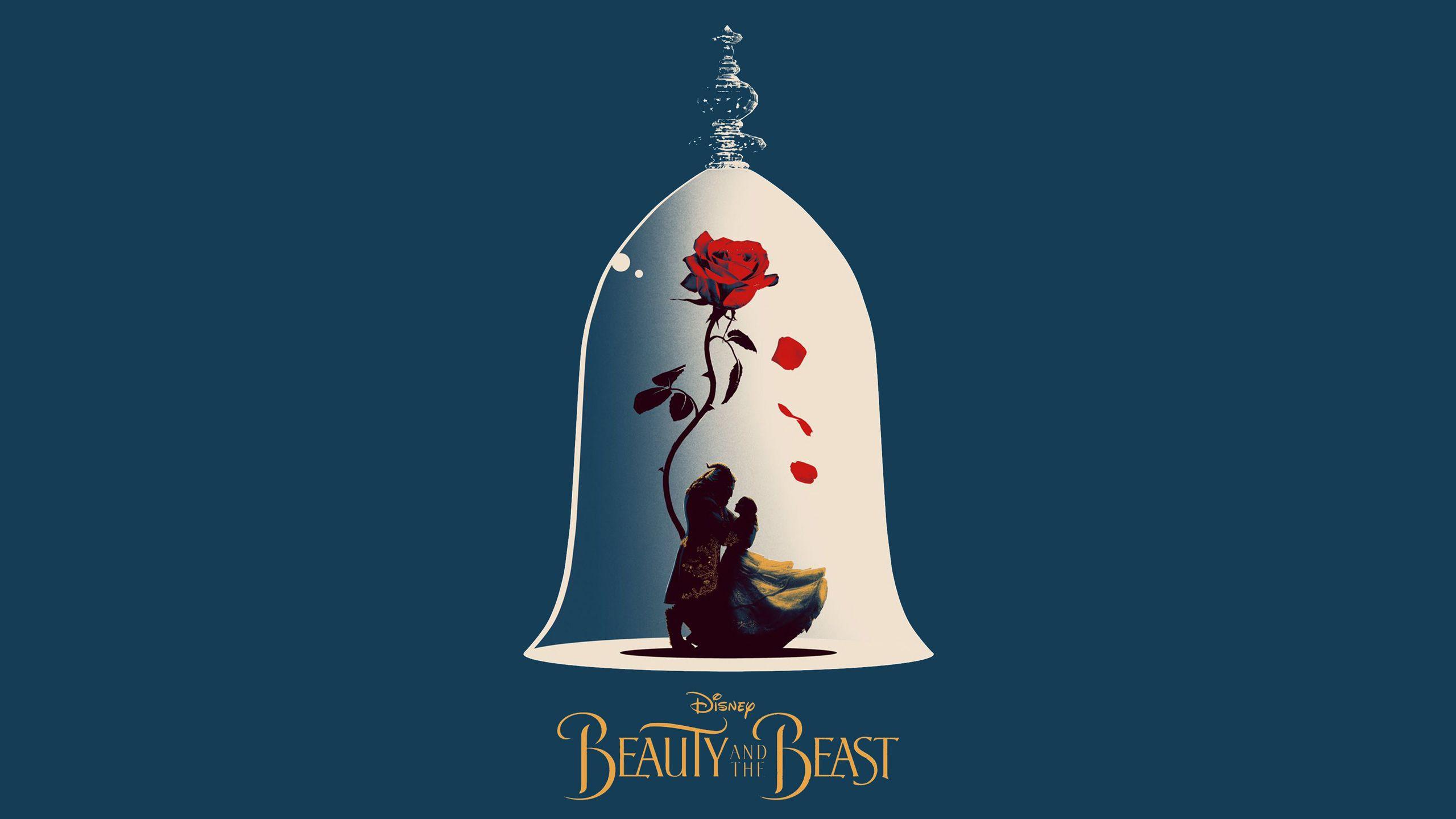 Beauty And The Beast Rose Wallpapers Top Free Beauty And The Beast
