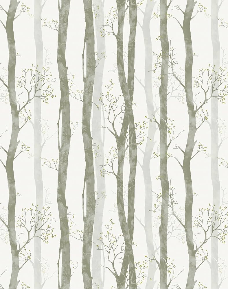 Birch Trees Wallpapers Top Free Birch Trees Backgrounds WallpaperAccess