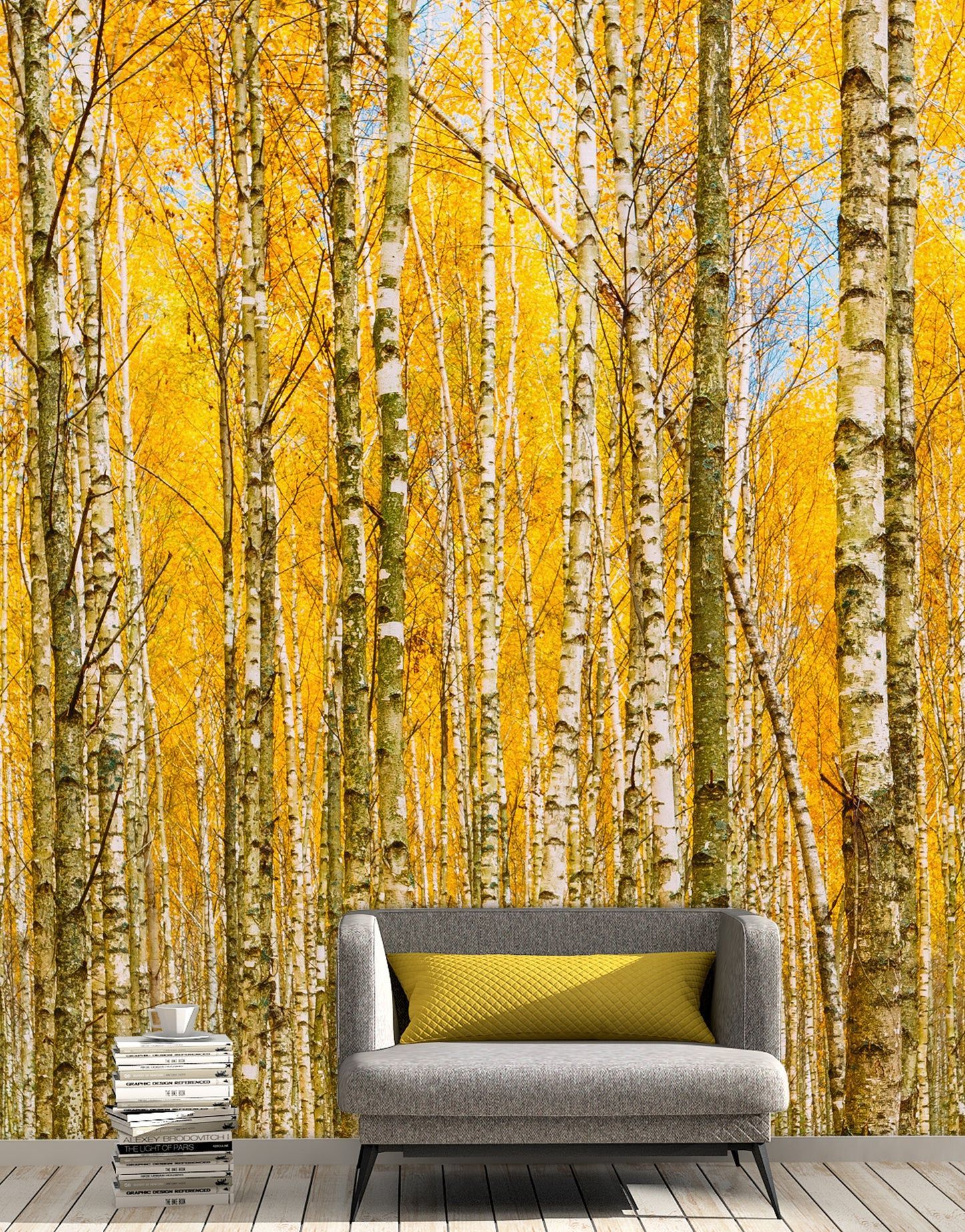 Birch Trees Wallpapers Top Free Birch Trees Backgrounds WallpaperAccess
