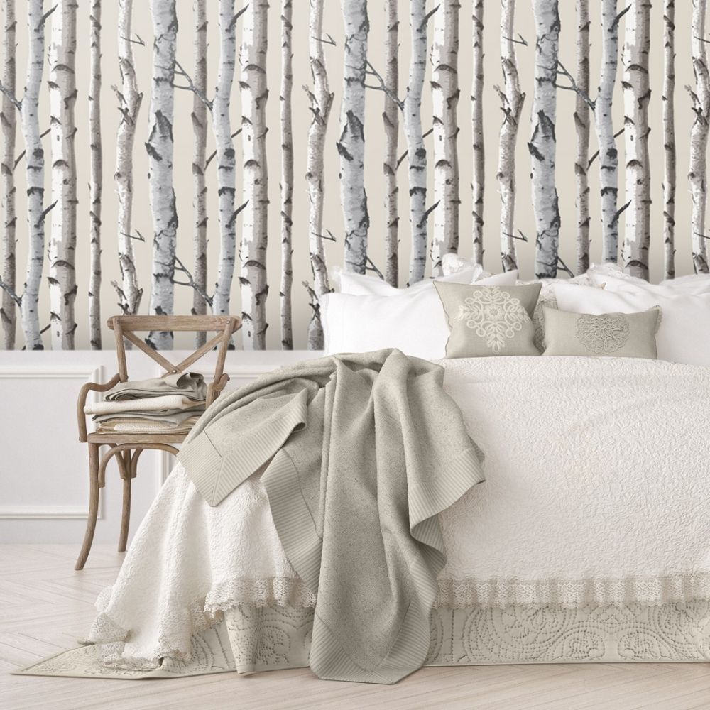 Birch Trees Wallpapers Top Free Birch Trees Backgrounds WallpaperAccess