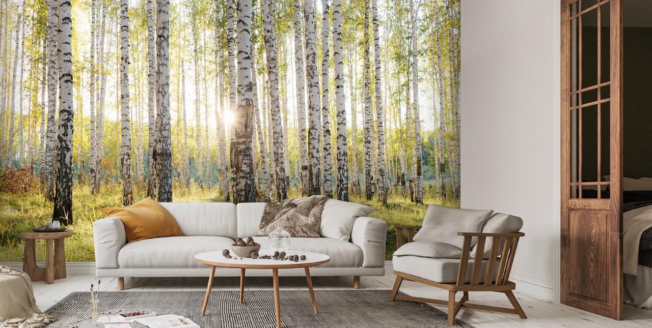 Birch Trees Wallpapers Top Free Birch Trees Backgrounds WallpaperAccess