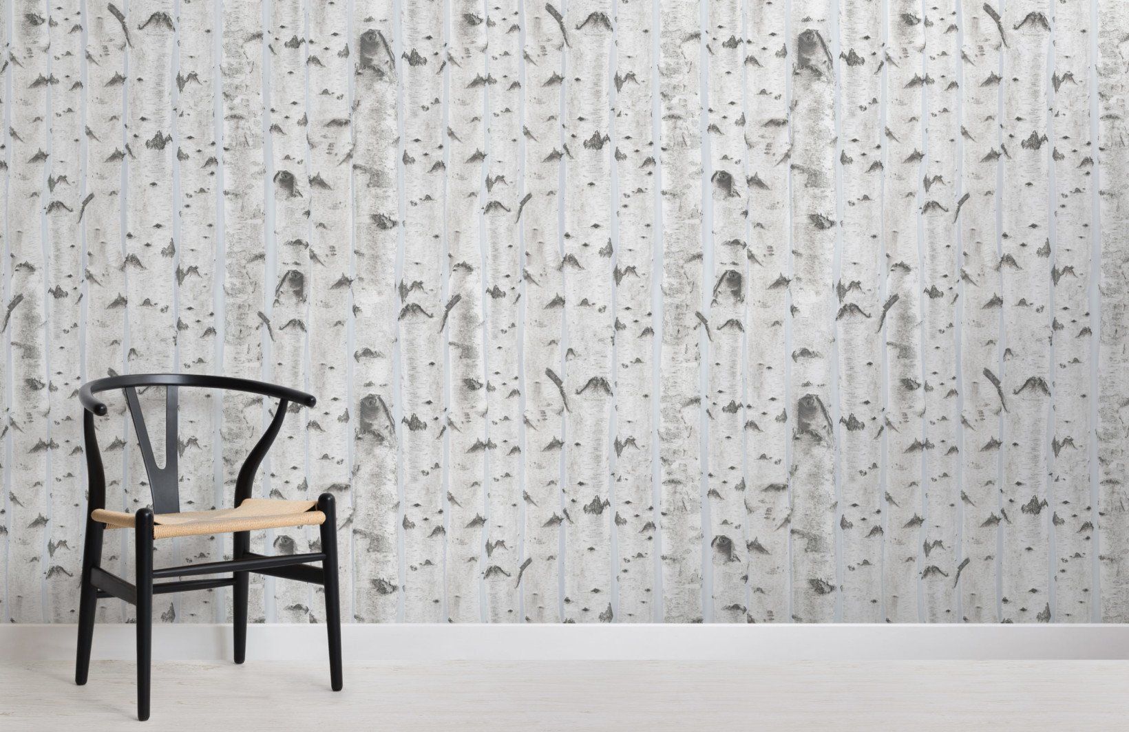 Birch Trees Wallpapers Top Free Birch Trees Backgrounds WallpaperAccess