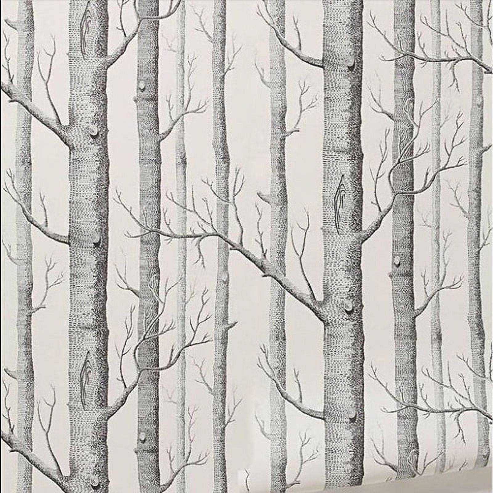 Birch Trees Wallpapers Top Free Birch Trees Backgrounds WallpaperAccess
