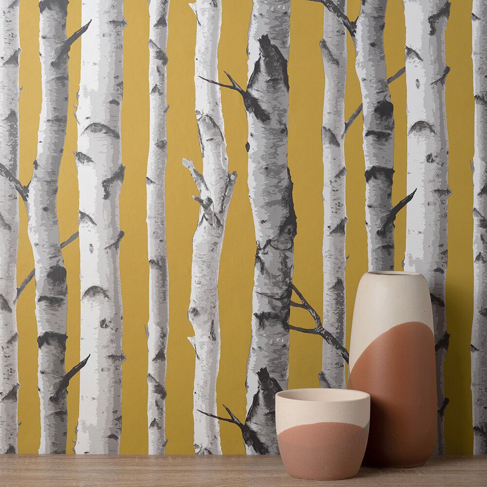 Birch Trees Wallpapers Top Free Birch Trees Backgrounds WallpaperAccess