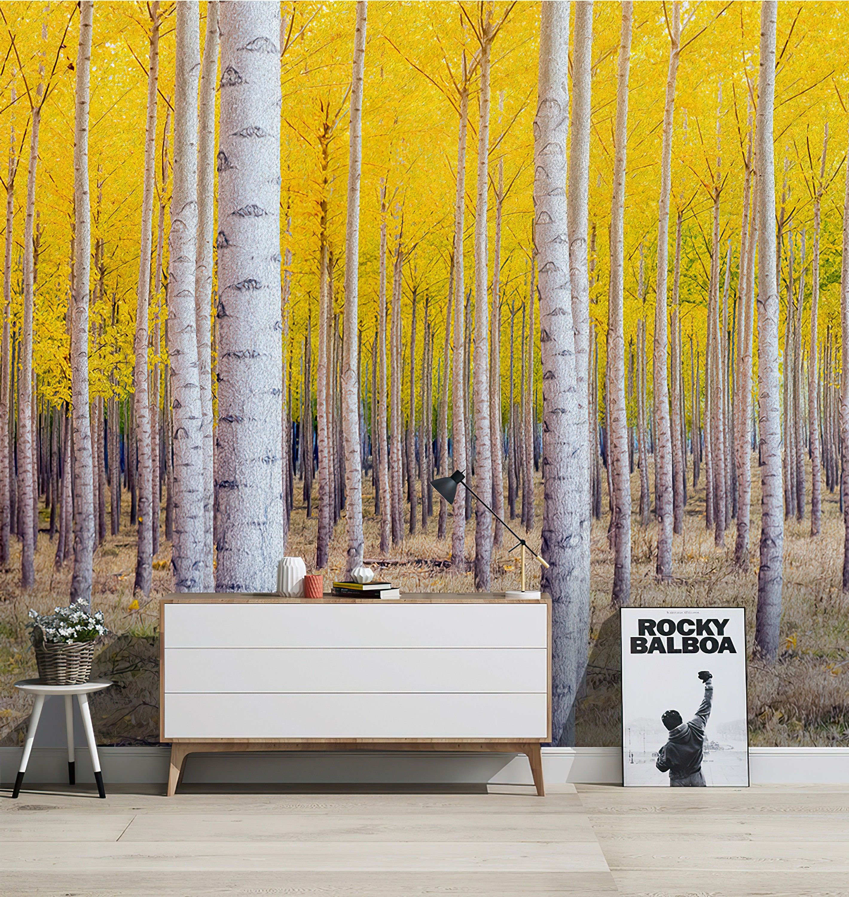 Birch Trees Wallpapers Top Free Birch Trees Backgrounds WallpaperAccess