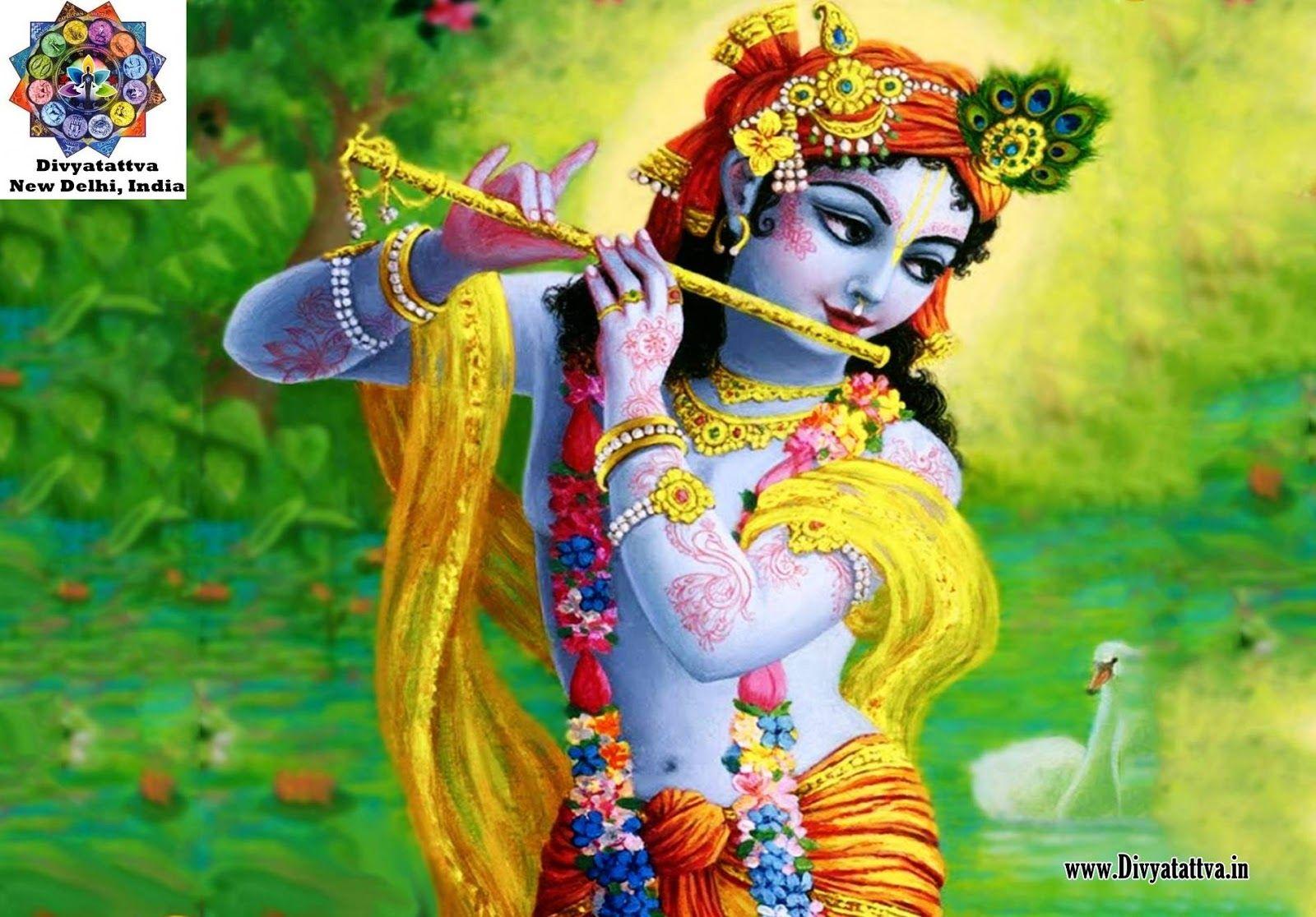 Animated Krishna Wallpapers Top Free Animated Krishna Backgrounds WallpaperAccess
