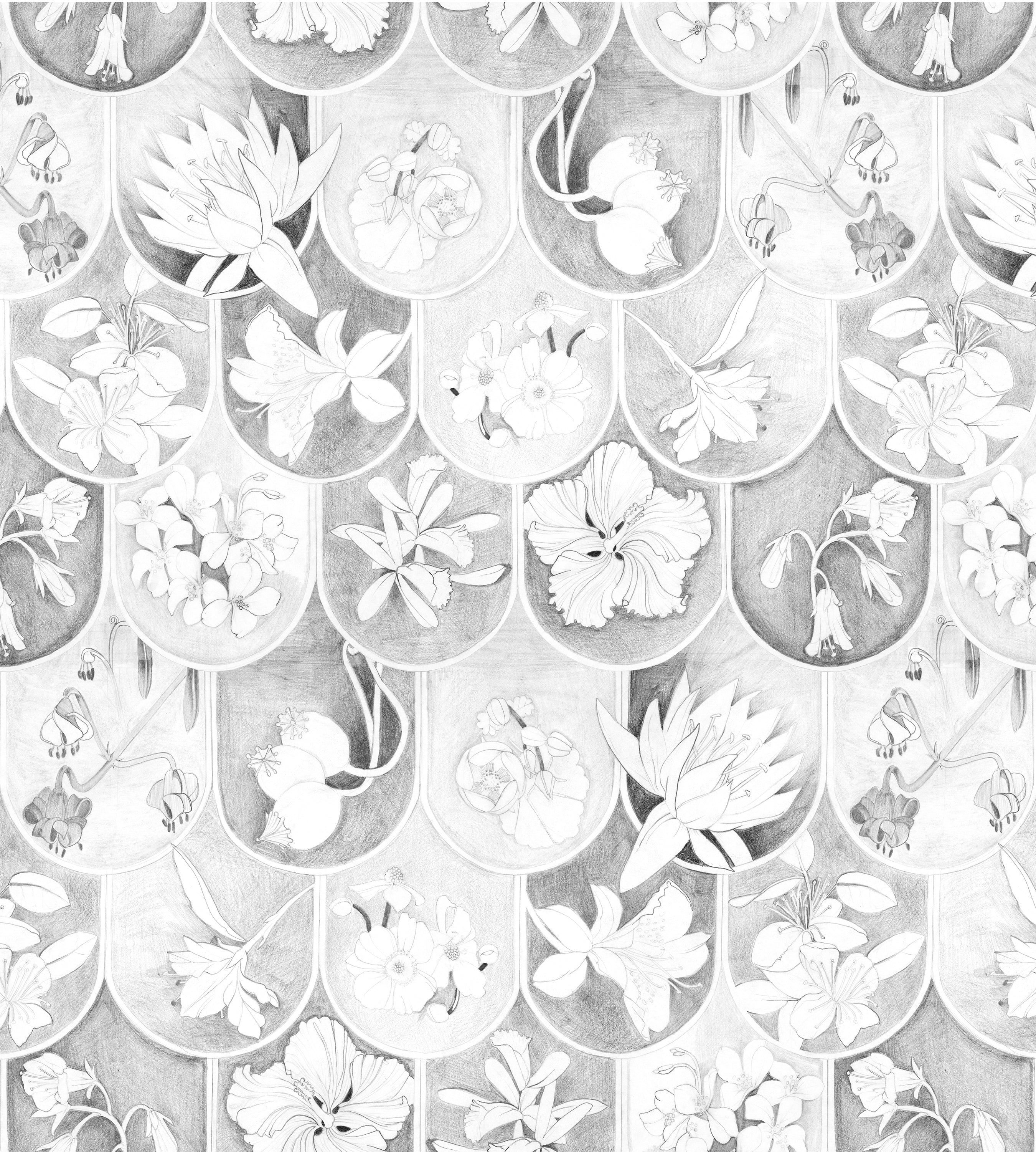 Flower Sketch Wallpapers Top Free Flower Sketch Backgrounds WallpaperAccess