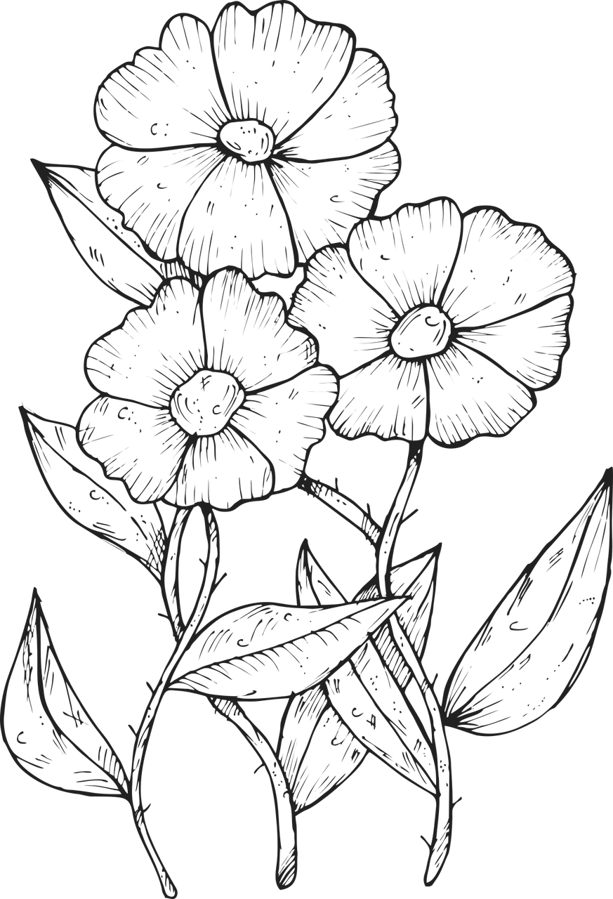 Flower Sketch Wallpapers Top Free Flower Sketch Backgrounds