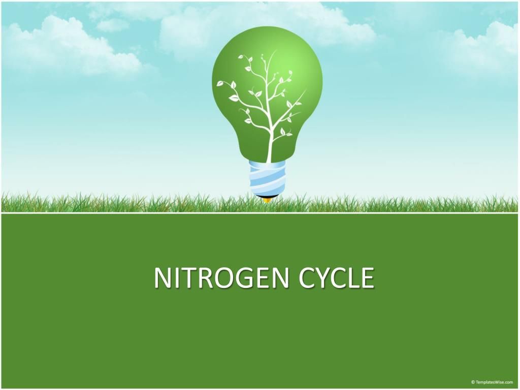 Nitrogen Wallpapers Top Free Nitrogen Backgrounds WallpaperAccess