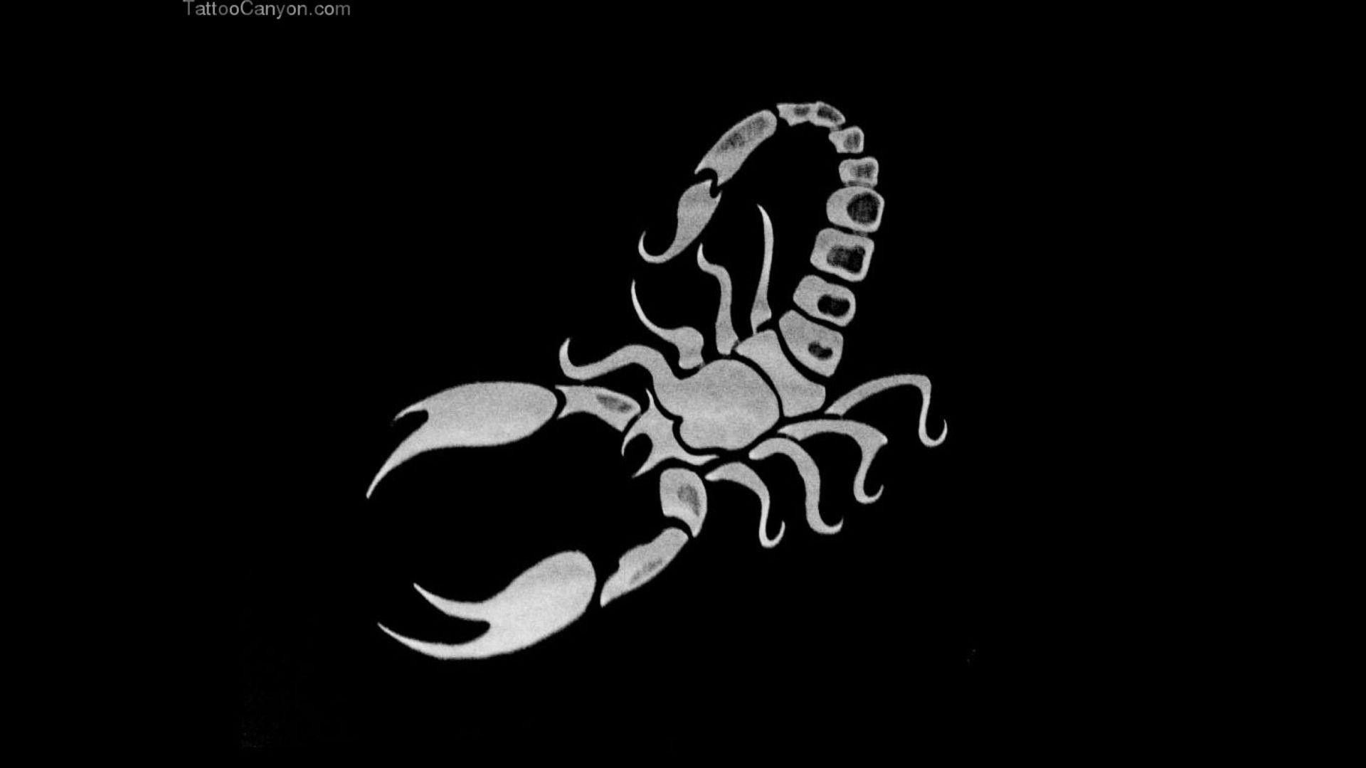 Scorpio Wallpapers Top Free Scorpio Backgrounds WallpaperAccess