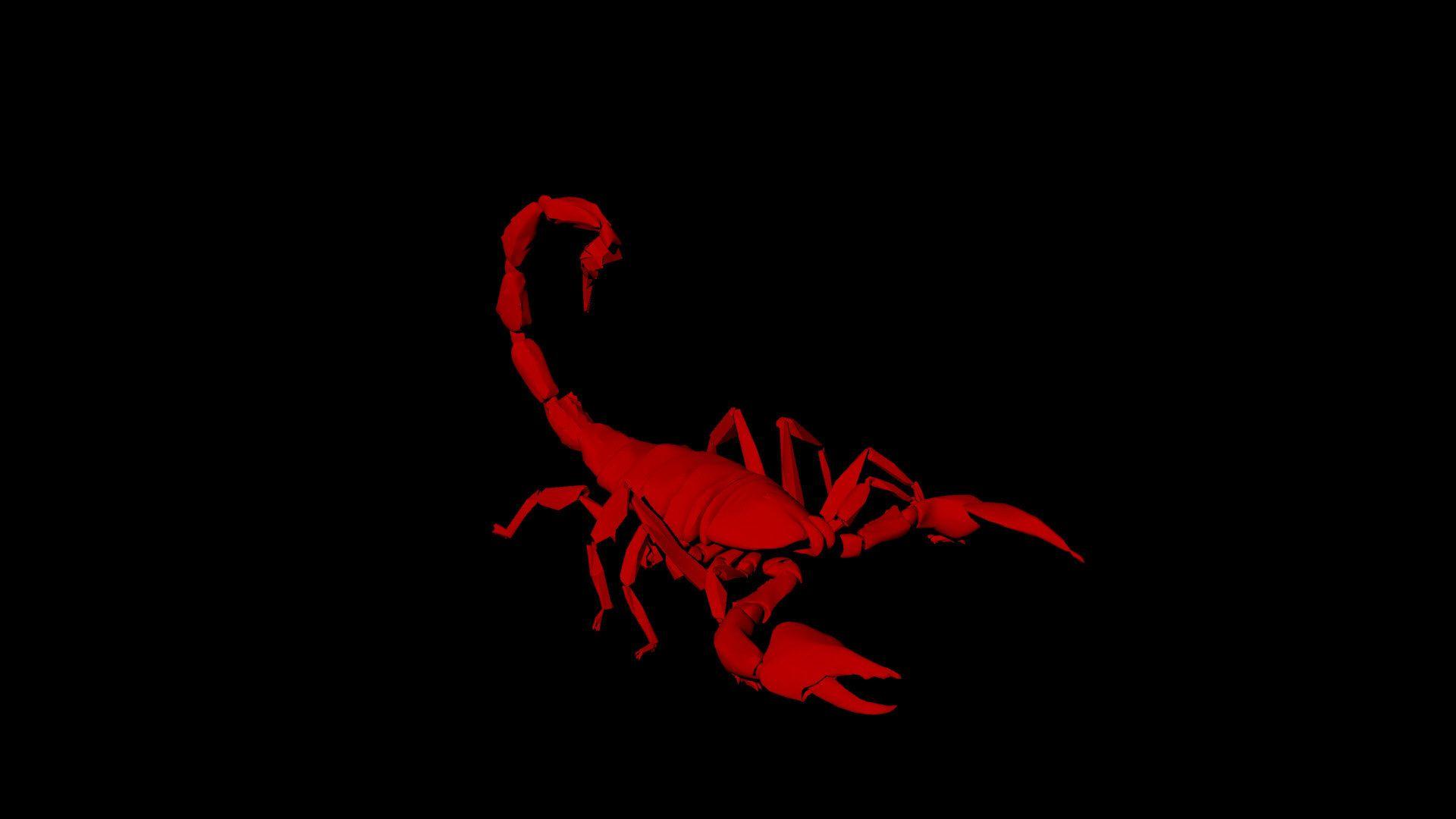 Scorpio Wallpapers Top Free Scorpio Backgrounds WallpaperAccess