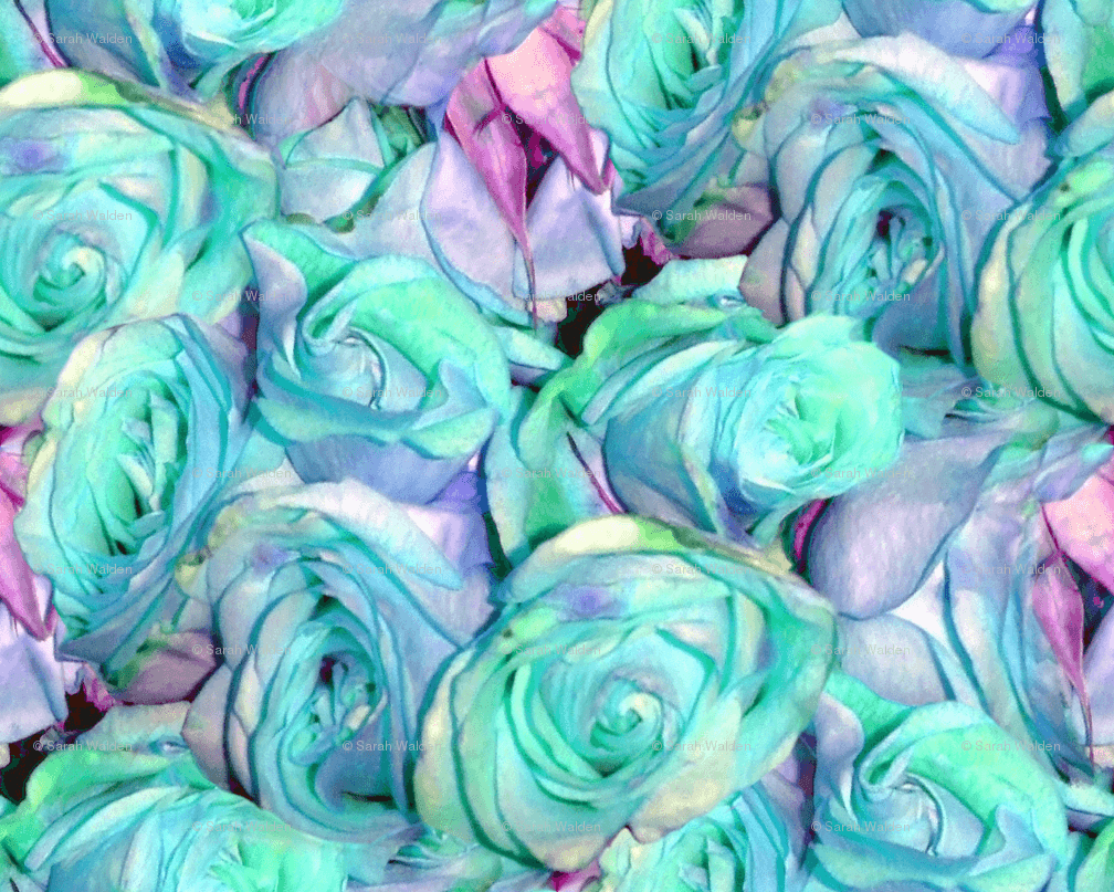 Green Rose Wallpapers Top Free Green Rose Backgrounds WallpaperAccess