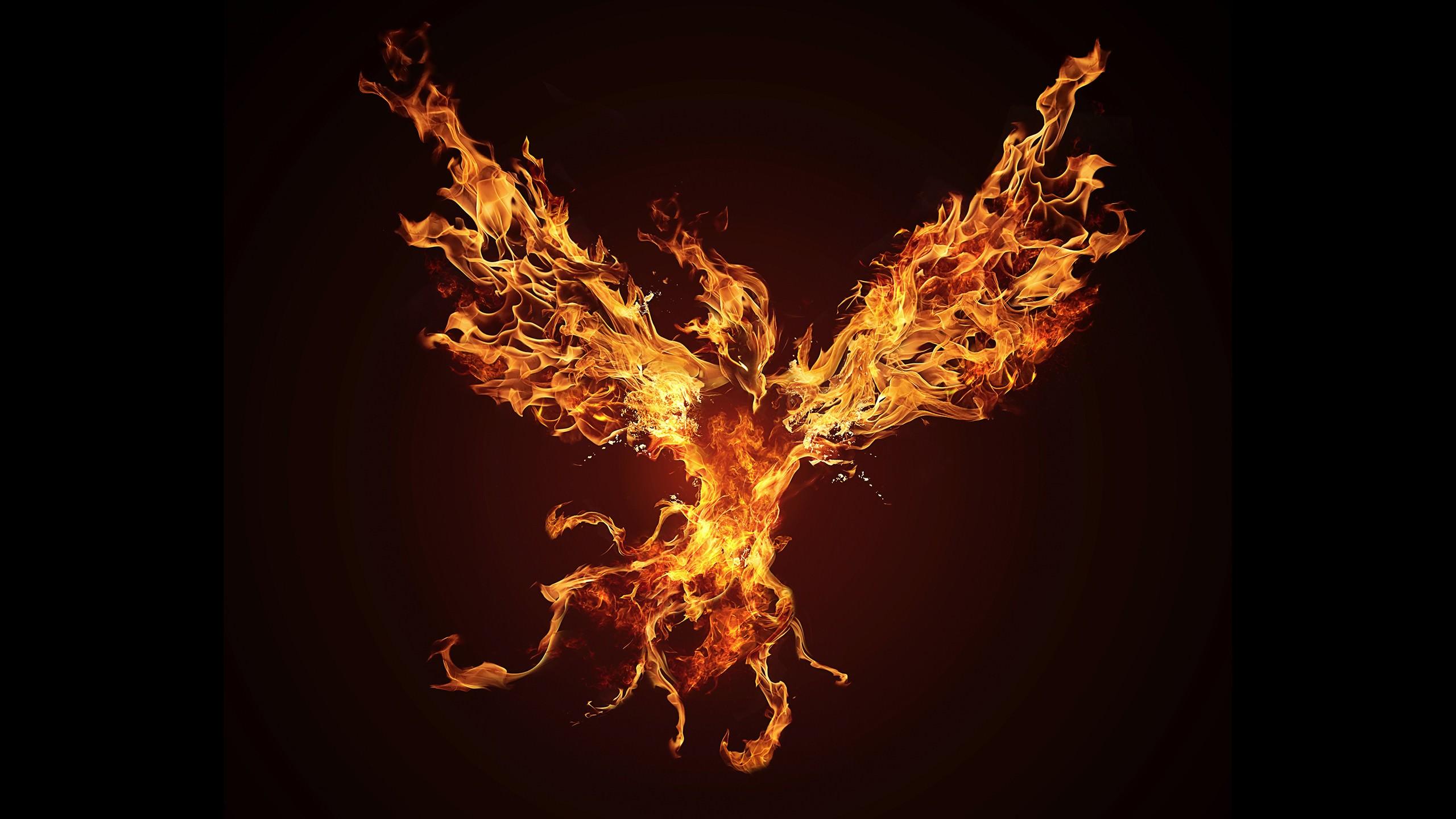 HD Phoenix Wallpapers Top Free HD Phoenix Backgrounds WallpaperAccess