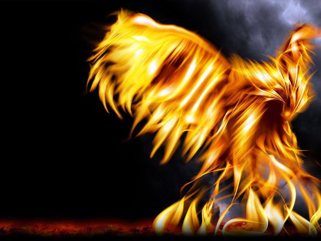 HD Phoenix Wallpapers Top Free HD Phoenix Backgrounds WallpaperAccess
