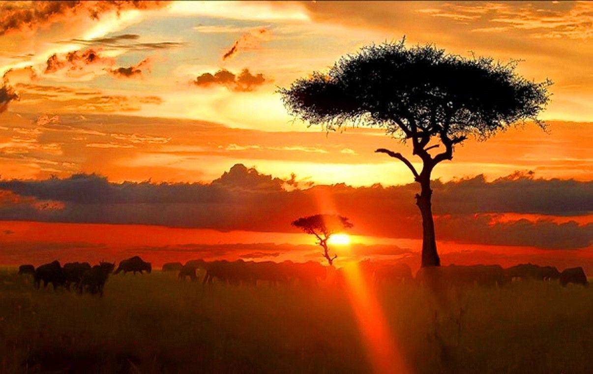 Africa HD Wallpapers Top Free Africa HD Backgrounds WallpaperAccess